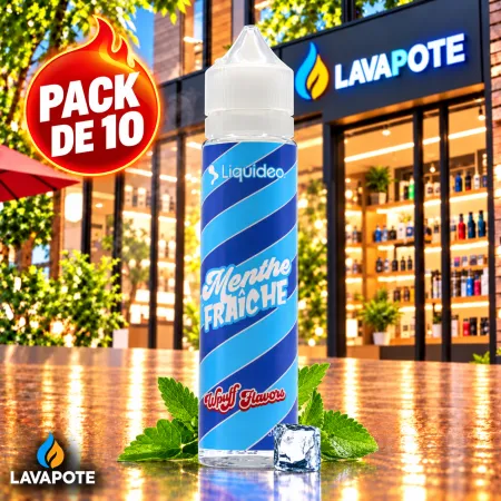 1 Pack 10X Menthe Fraiche WPuff 50ML