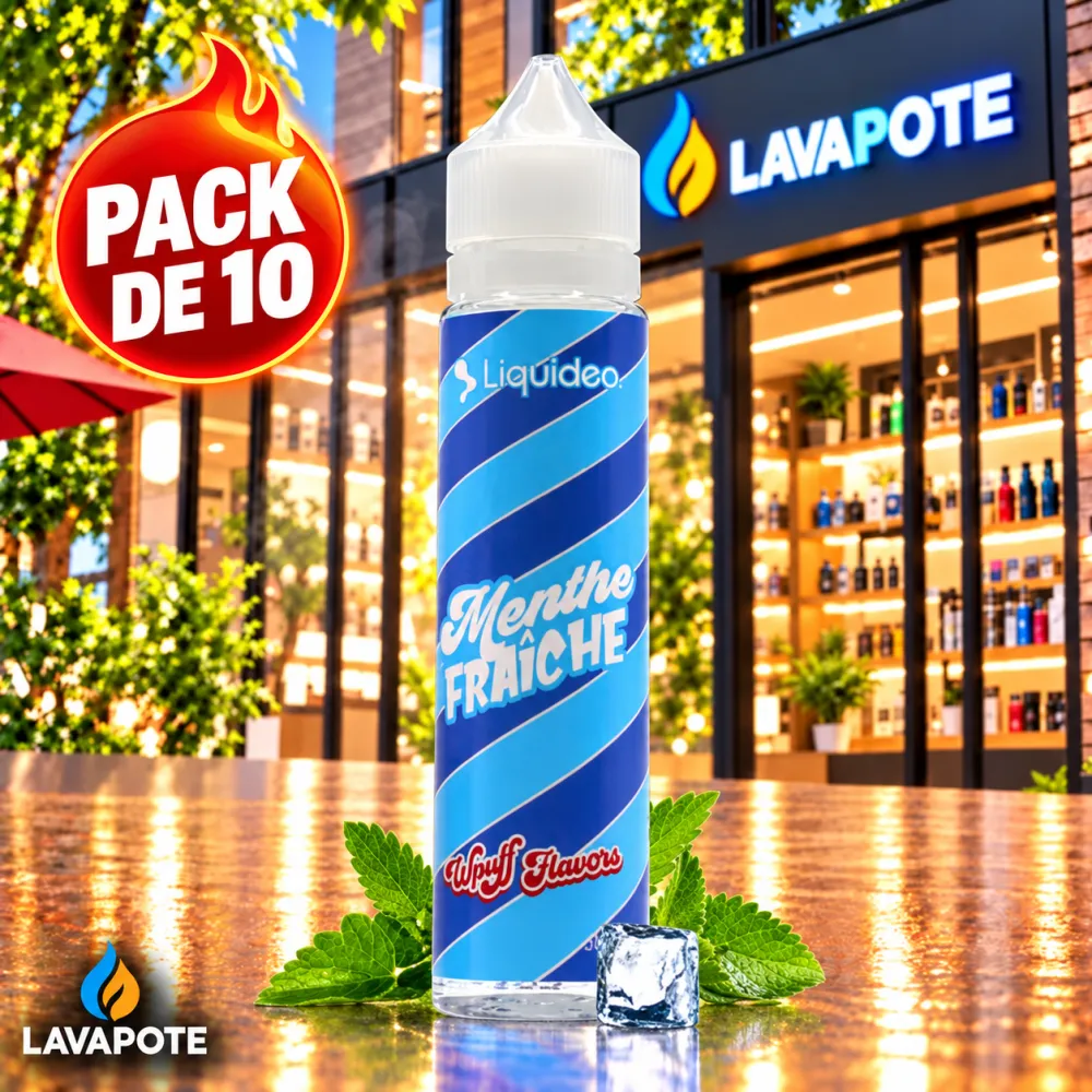 1 Pack 10X Menthe Fraiche WPuff 50ML