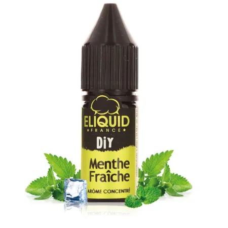 Menthe Eliquid France 10ML - La Vapote