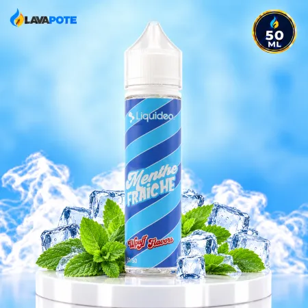 Eliquide Menthe Fraiche WPuff 50ML