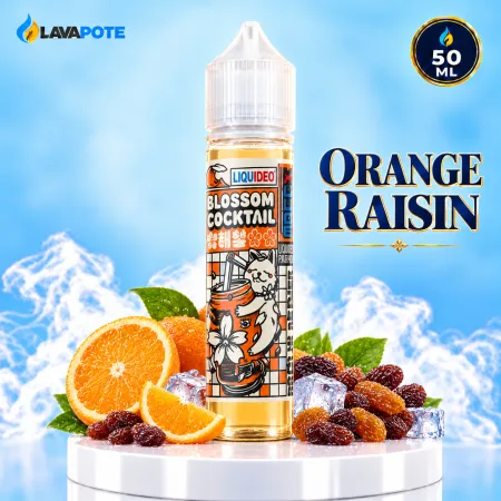 Eliquide Orange Raisin Liquideo 50ML