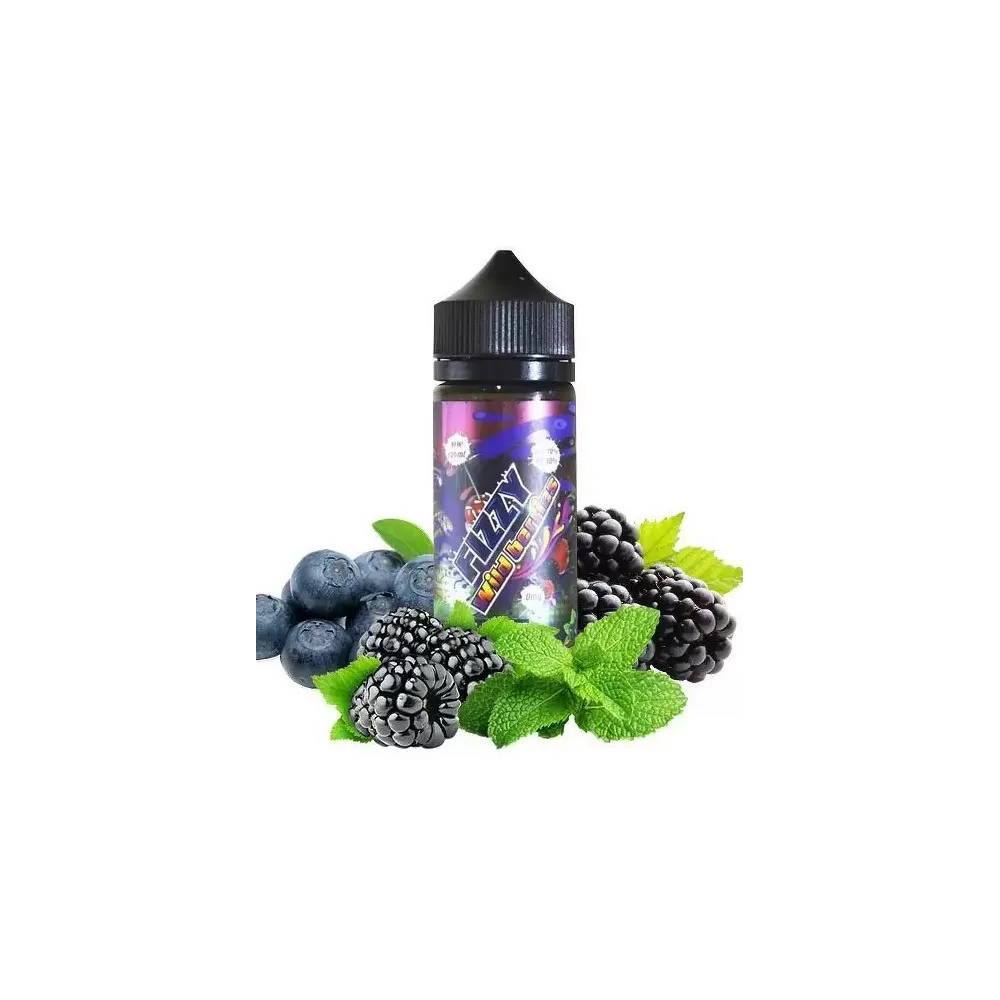 Wild Berries Fizzy 100ML moins cher qu'ailleurs